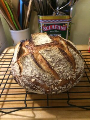 Terrestrial Sourdough: Thinking through Bread